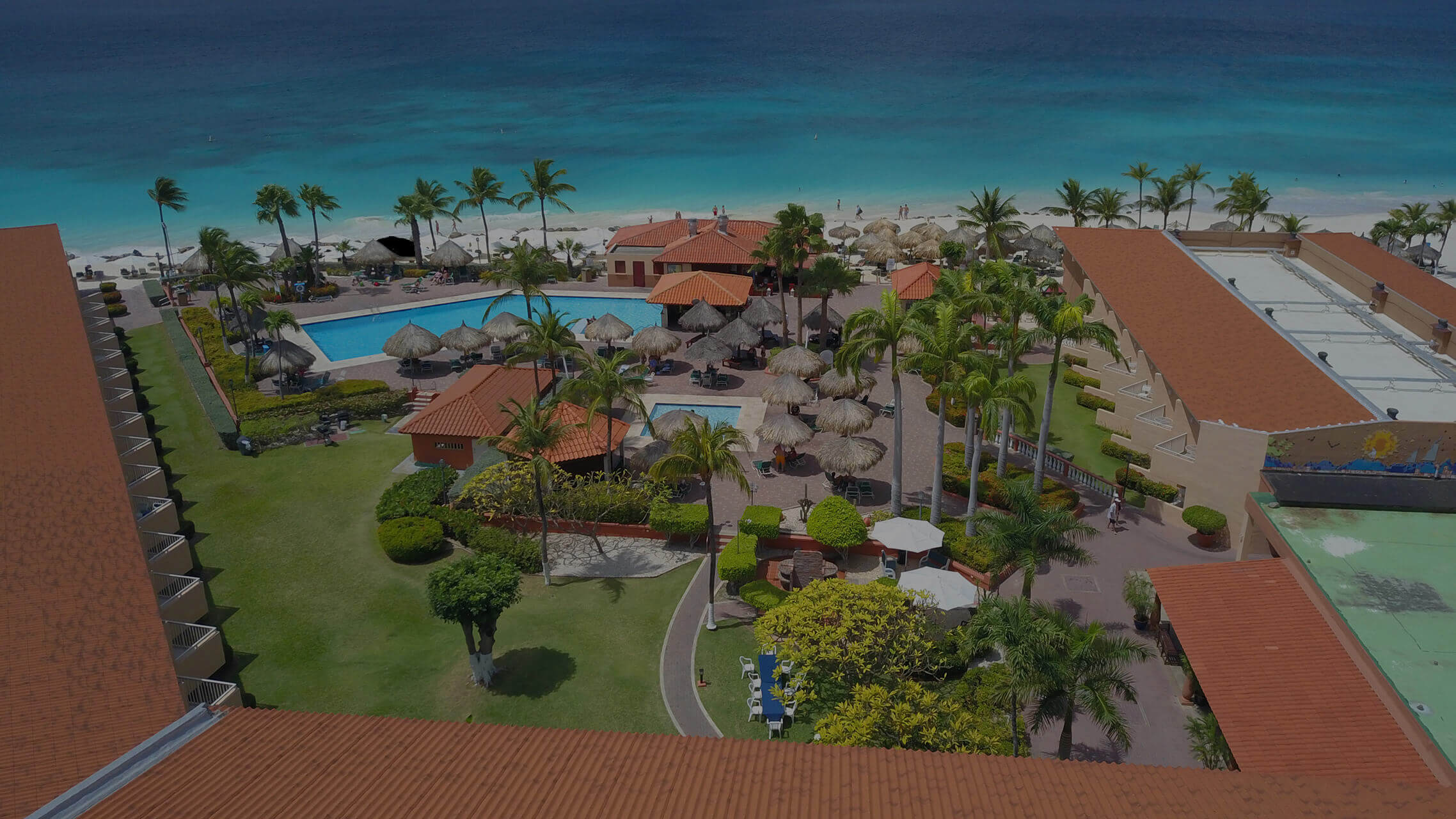 Aruba Beach Club: A Luxurious Destination for Your Next Island Getaway